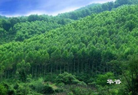 綠水青山：湖南長沙水土保持方案編制/水保驗收/創(chuàng)新水土保持工作的思考