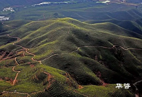 快訊！湖南永州藍山公路項目水土保持方案（水保）順利通過專家評議