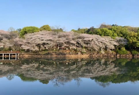 江西省專業(yè)交通技術(shù)服務(wù)公司_華咨航評(píng)和交評(píng)的核心優(yōu)勢(shì)有哪些？